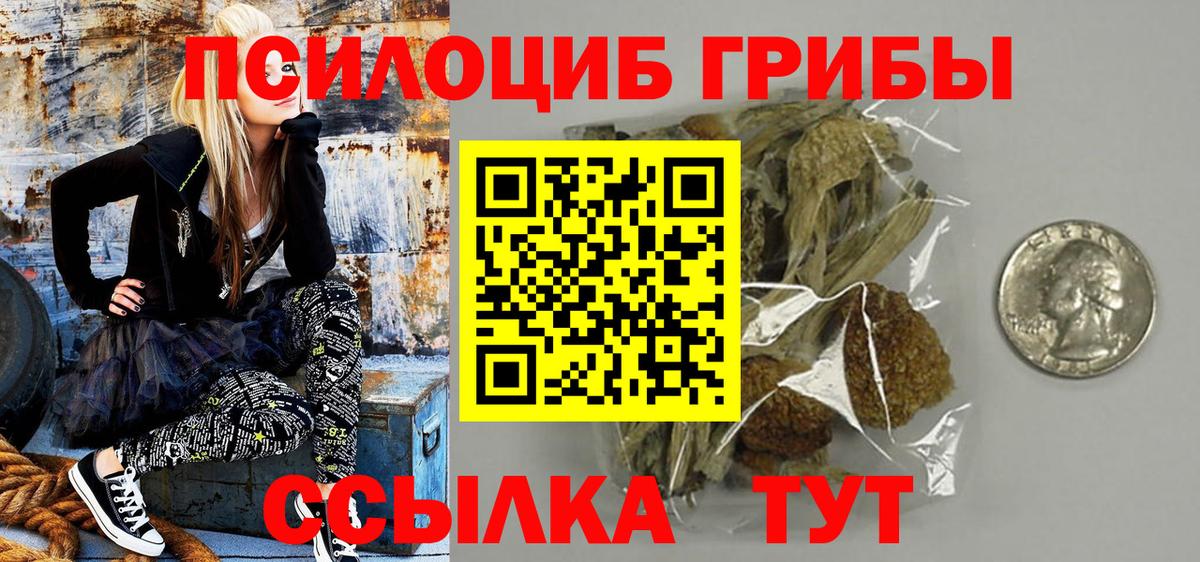 Янаул  Псилоцибиновые грибы прущие грибы  Вход с VPN 